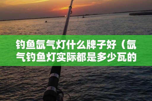 钓鱼氙气灯什么牌子好（氙气钓鱼灯实际都是多少瓦的）