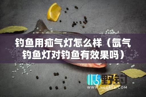 钓鱼用疝气灯怎么样（氙气钓鱼灯对钓鱼有效果吗）