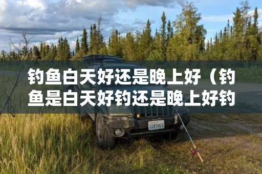 钓鱼白天好还是晚上好（钓鱼是白天好钓还是晚上好钓）