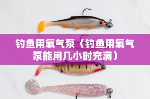 钓鱼用氧气泵（钓鱼用氧气泵能用几小时充满）