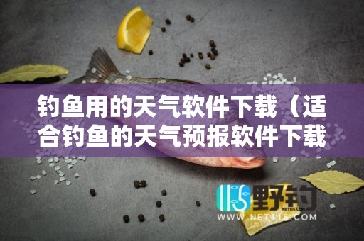 钓鱼用的天气软件下载（适合钓鱼的天气预报软件下载）