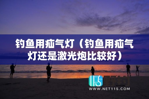 钓鱼用疝气灯（钓鱼用疝气灯还是激光炮比较好）