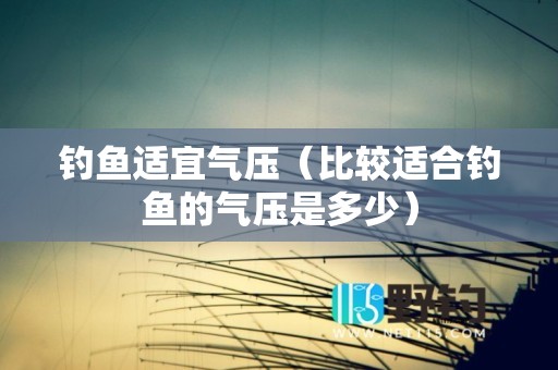 钓鱼适宜气压（比较适合钓鱼的气压是多少）