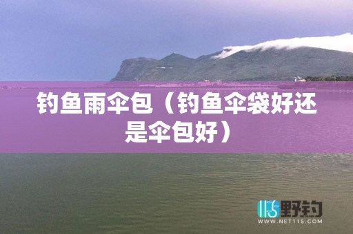 钓鱼雨伞包（钓鱼伞袋好还是伞包好）