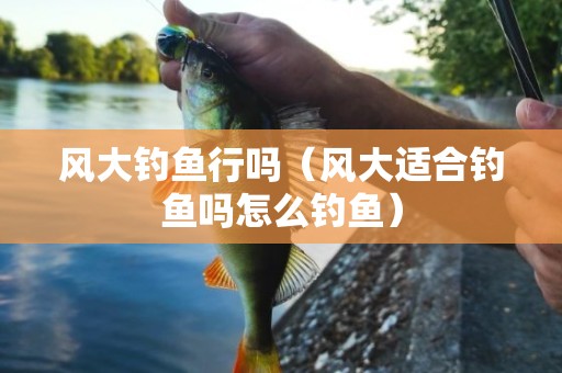 风大钓鱼行吗（风大适合钓鱼吗怎么钓鱼）