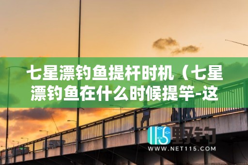 七星漂钓鱼提杆时机（七星漂钓鱼在什么时候提竿-这个看了你就会了）