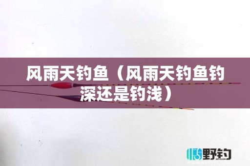 风雨天钓鱼（风雨天钓鱼钓深还是钓浅）