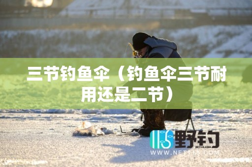 三节钓鱼伞（钓鱼伞三节耐用还是二节）