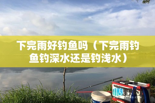 下完雨好钓鱼吗（下完雨钓鱼钓深水还是钓浅水）
