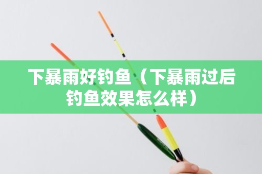 下暴雨好钓鱼（下暴雨过后钓鱼效果怎么样）