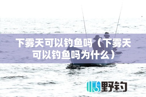 下雾天可以钓鱼吗（下雾天可以钓鱼吗为什么）