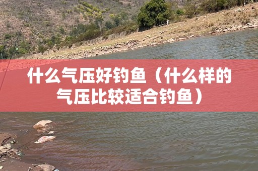 什么气压好钓鱼（什么样的气压比较适合钓鱼）