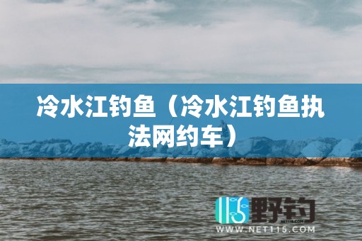 冷水江钓鱼（冷水江钓鱼执法网约车）