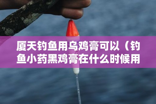 厦天钓鱼用乌鸡膏可以（钓鱼小药黑鸡膏在什么时候用）