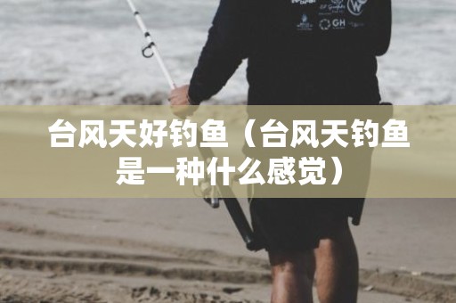 台风天好钓鱼（台风天钓鱼是一种什么感觉）