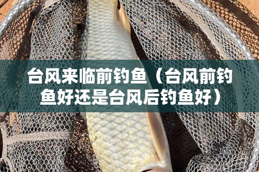 台风来临前钓鱼（台风前钓鱼好还是台风后钓鱼好）