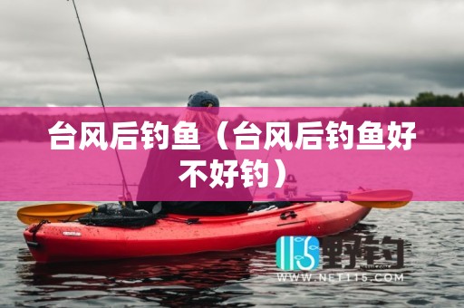 台风后钓鱼（台风后钓鱼好不好钓）