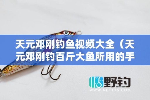 天元邓刚钓鱼视频大全（天元邓刚钓百斤大鱼所用的手竿）