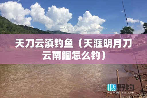 天刀云滇钓鱼（天涯明月刀云南鲴怎么钓）