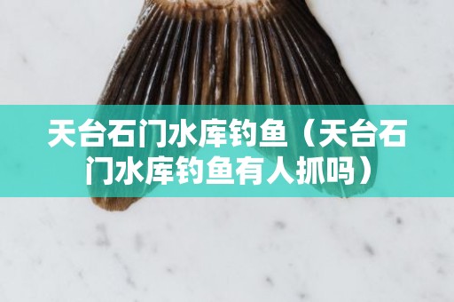 天台石门水库钓鱼（天台石门水库钓鱼有人抓吗）