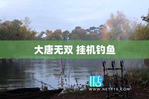 大唐无双 挂机钓鱼