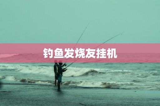 钓鱼发烧友挂机