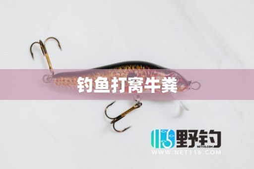 钓鱼打窝牛粪