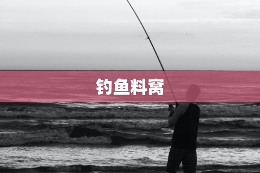 钓鱼料窝