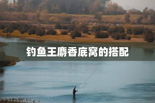 钓鱼王麝香底窝的搭配