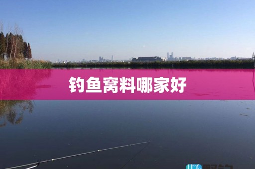 钓鱼窝料哪家好