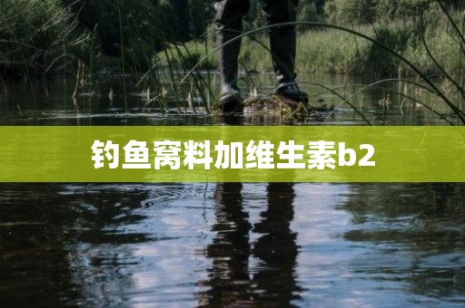 钓鱼窝料加维生素b2