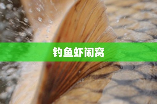 钓鱼虾闹窝