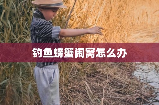 钓鱼螃蟹闹窝怎么办