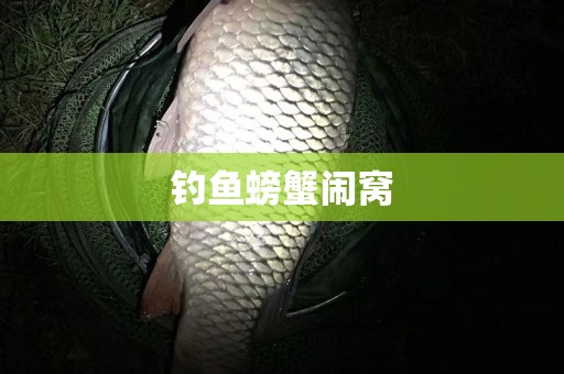 钓鱼螃蟹闹窝