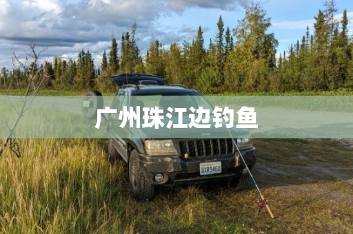 广州珠江边钓鱼