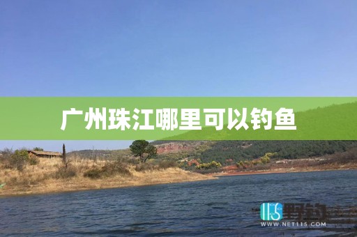 广州珠江哪里可以钓鱼