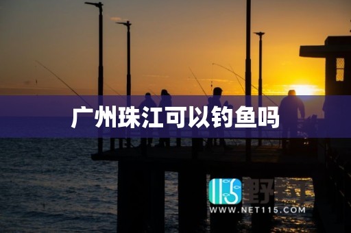 广州珠江可以钓鱼吗