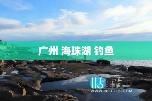 广州 海珠湖 钓鱼