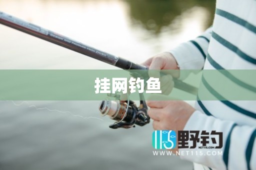 挂网钓鱼