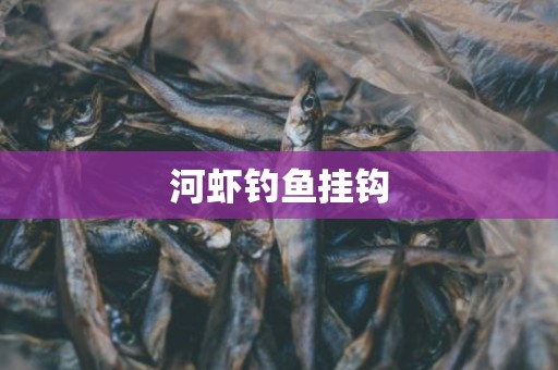 河虾钓鱼挂钩