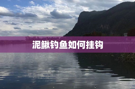 泥鳅钓鱼如何挂钩