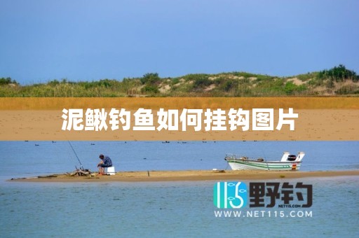 泥鳅钓鱼如何挂钩图片