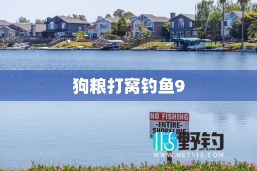 狗粮打窝钓鱼9