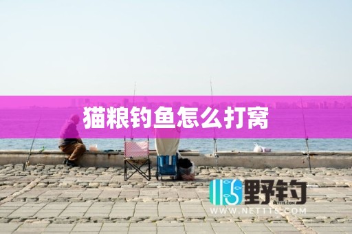 猫粮钓鱼怎么打窝