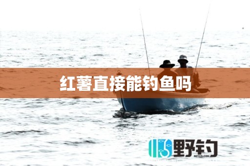红薯直接能钓鱼吗