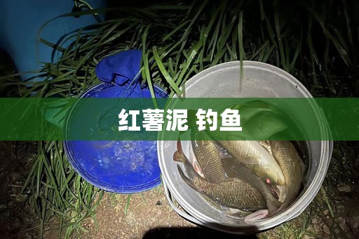 红薯泥 钓鱼