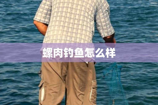 螺肉钓鱼怎么样