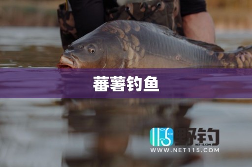 蕃薯钓鱼