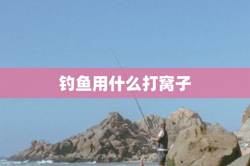 钓鱼用什么打窝子