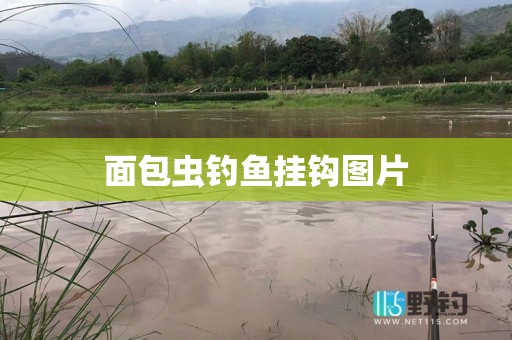 面包虫钓鱼挂钩图片